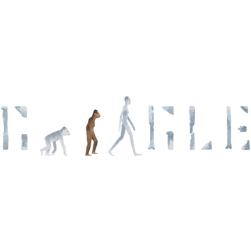 Google Doodle marks the discovery of 'Lucy', the Australopithecus