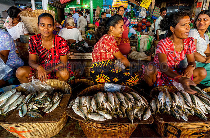 Notebandi frontlines: Sales fall, anger rises - why the fishing industry can't go cashless
