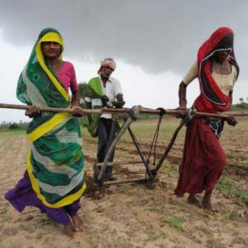 Bihar farmers wait for rain God to smile on them