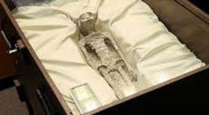 Aliens On Earth! Mexican Lawmakers Present 'Alien Remains In Parliament