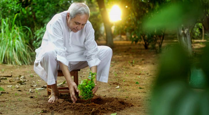 Naveen Patnaik Plants a Tree and Reflects on Environment: These Remind Gandhi's Vision on Tree CultureÂ 