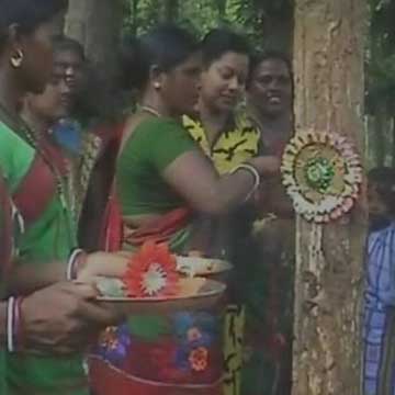 Women power: How a forest was saved from timber mafia 