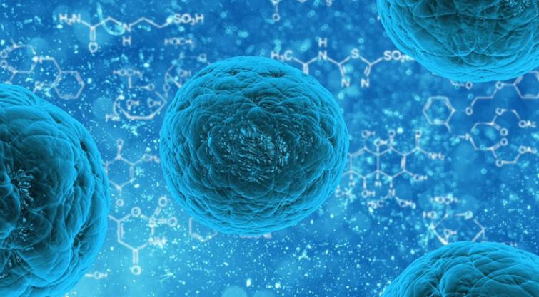 Langya virus: Can it spread among humans? Know all symptoms