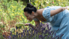 Bridgerton season 4 part 1 release time in India