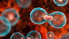 Do all early breast cancer patients really need chemotherapy? 