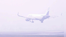 Flights, trains disrupted as dense fog engulfs Delhi NCR