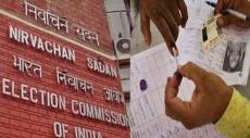 Paroo Assembly Election 2025: Constituency profile, past winners, vote margin