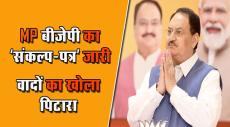 BJP Unveils Its Manifesto Sankalp Patra For Madhya Pradesh Assembly Elections