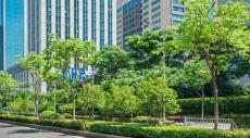 LDA accelerates construction under Green Corridor project