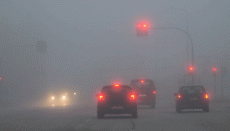 Driving in dense fog: Follow these simple precautions 