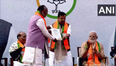 Nitin Nabin elected as BJP national president