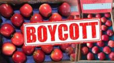 Boycott Turkey: AIASL, other ground handling firms begin onboarding Celebi Aviation staff
