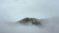 Dense fog engulfs Delhi, visibility drops below 50 metres