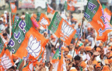 What is the majority mark for forming a government in the state? Check