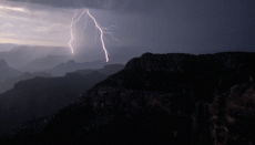 Dense fog engulfs parts of North India, flight ops affected in Delhi-NCR