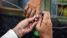 Raigad and Palghar Local Body Election Result: BJP takes lead in several MC Raigad and Palghar Local Body Election Result: BJP takes lead in several MC