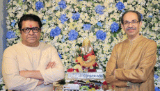 BMC elections: Thackeray brothers hold seat sharing talks, Sena UBT likely to get 125 seats