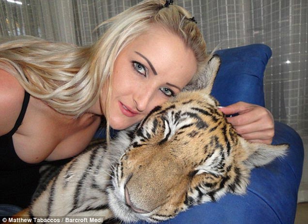 Meet the Bengal tiger Enzo who share bed with young couple of South Africa