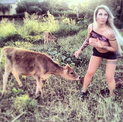 Busty model Sabrina Boing Boing tries to breastfeed cows provokes outrage online