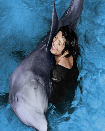 When male dolphin fell in love with female researcher
