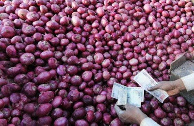 Onion sells at Rs 40/kg in NCR on drought fears, fewer supply