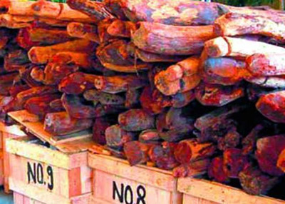 Twenty sandalwood smuggler killed by Police in Andhra Pradesh