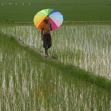 Promise me the monsoon