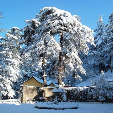 Kashmir Valley shivers, Leh freezes at minus 12 degrees