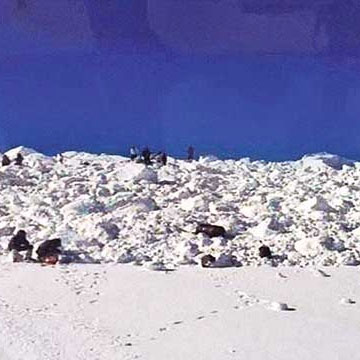 Siachen avalanche: All 10 missing soldiers declares dead, PM, defence minister condoles