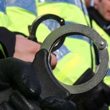 On average, 98 deaths in police custody every year