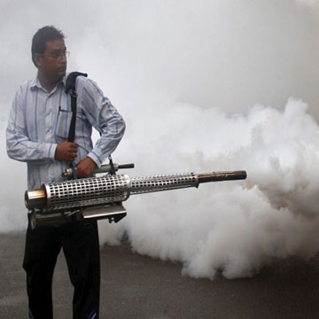 Chikungunya, dengue sting India: Over 12,000 cases across country, 9 deaths in Delhi