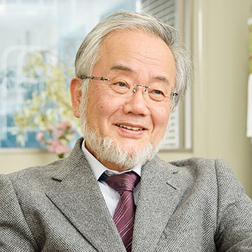Japanese scientist Yoshinori Ohsumi wins Nobel medicine prize for work on 'self-eating' cell mechanism