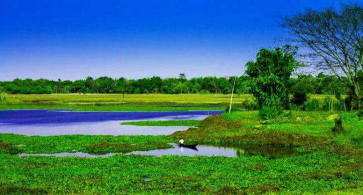 Pedalling through Majuli to feel the soul of world's largest river island