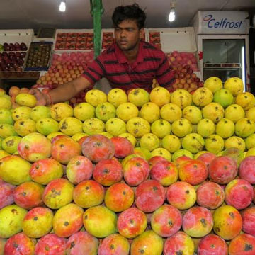 New air route to help Odisha export mangoes to Southeast Asia