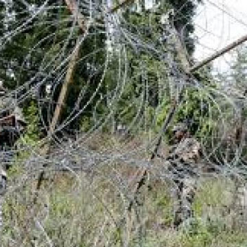 Army foils infiltration bid on LoC, 3 soldiers martyr, 4 militants killed