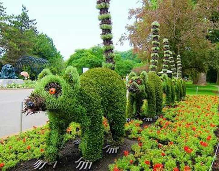 Love for greenery, Grass architecture 