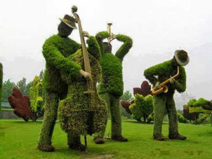 Love for greenery, Grass architecture 