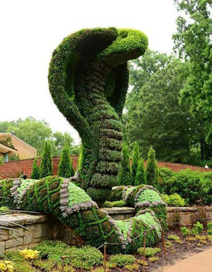 Love for greenery, Grass architecture 