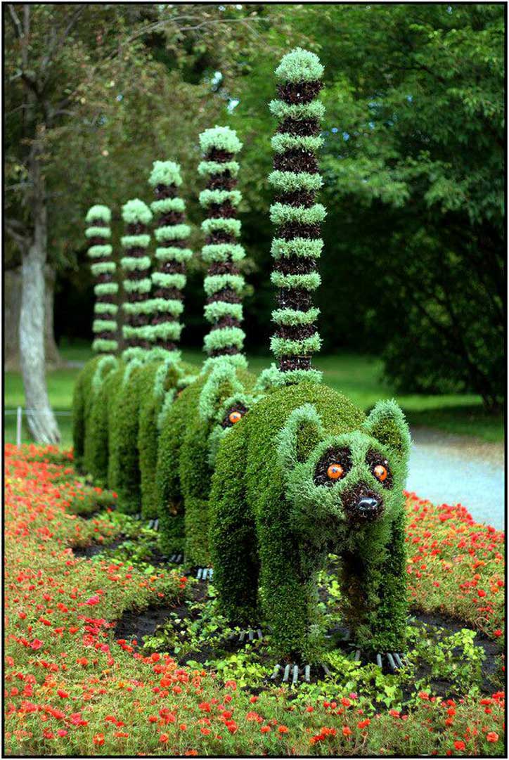 Love for greenery, Grass architecture 