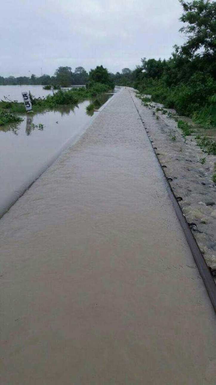 Assam Flood 2017 in Pictures