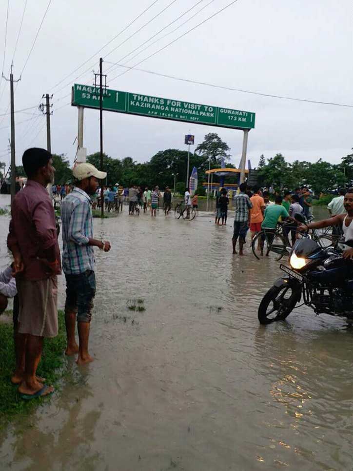 Assam Flood 2017 in Pictures