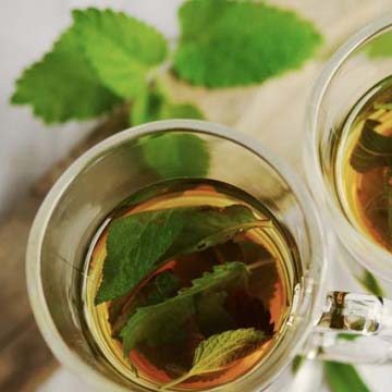10 herbs that can improve your health mentally and physically
