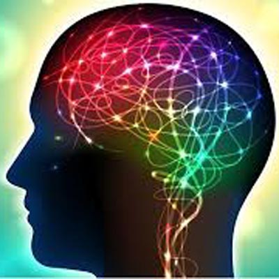Supplements for Brain Health Are a Waste of Money