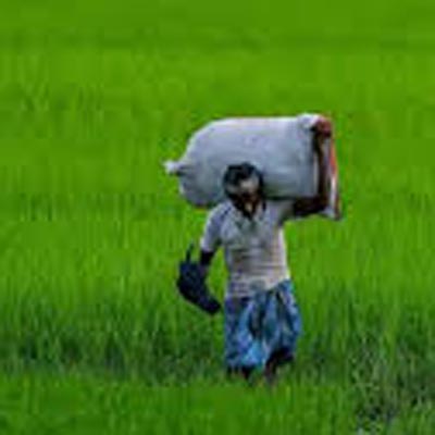 Passage of Farm Bills in the Rajya Sabha Represents Decline of Culture of Legislative Scrutiny