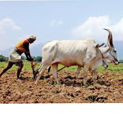 What Are Property Cards? Know All About Centre's Initiative To Transform Rural India