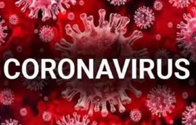 Corona Virus Live Updates