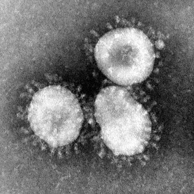 Corona virus live updates new strain
