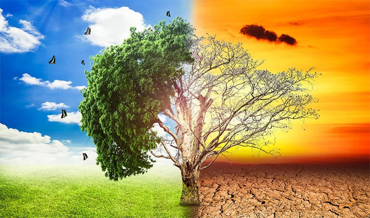 Is Climate Change A Reason For Uttarakhand Flood? Here is What Scientists Have To Say