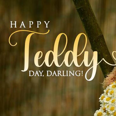 Happy Teddy Day 2021 Wishes: Know The Origin Of Teddy Bear
