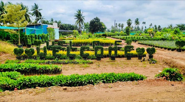 MOU signed between WEV and Kadiam for Nursery Development in Odisha